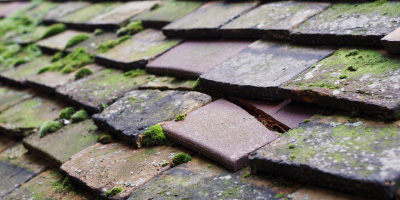 Burry Port roof repair costs